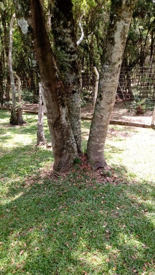 Residenciais Encantos Da Natureza كانيلا المظهر الخارجي الصورة